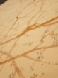 Photo4: 3K04z80  Japanese Kimono Silk  FABRIC Branch Yellow-Orange 64.2x14.4 (4)