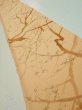 Photo1: 3K08z40  Japanese Kimono Silk  FABRIC Branch Yellow-Orange 57.5x7.1 (1)