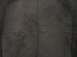 Photo3: 5509T05z270 Vintage Japanese Kimono Silk See through HAORI Wisteria Black (3)