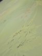 Photo4: 2P06z80  Japanese Kimono Silk  FABRIC Flower Lime green 64.2x14.4 (4)