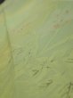 Photo4: 2P09z40  Japanese Kimono Silk  FABRIC Flower Lime green 58.7x7.1 (4)