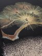 Photo5: 2A03z100  Japanese Kimono Silk  FABRIC Pine Black 69.7x14.6 (5)