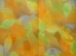 Photo5: 5710T04z880  Japanese Kimono Silk KOMON Leaf Light orange (5)