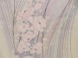 Photo6: 5712T02z890  Japanese Kimono Silk KOMON Flower Light pink (6)