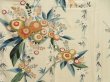 Photo8: 5712T07z970 Vintage Japanese Kimono Silk TSUKESAGE Onagadori Sand beige (8)