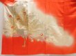 Photo5: 5712T11z1250 Vintage Japanese Kimono Silk FURISODE Peacock Tomato red (5)