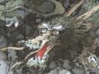 Photo3: 5726T05z500 Vintage Japanese Kimono Silk Men's OSHIMA HAORI Dragon (3)