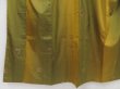 Photo4: 5816T011z790  Japanese Kimono Silk TSUMUGI Butterfly Olive green (4)