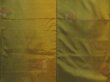 Photo5: 5816T011z790  Japanese Kimono Silk TSUMUGI Butterfly Olive green (5)