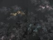 Photo3: 5816T09z520 Vintage Japanese Kimono Silk HAORI Trees Black (3)