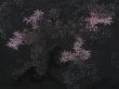 Photo4: 5816T09z520 Vintage Japanese Kimono Silk HAORI Trees Black (4)
