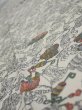 Photo4: 2W10z30  Japanese Kimono Silk  FABRIC Sea bream Off-white 39.0x7.1 (4)