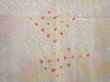 Photo3: 5906T05z450 Vintage Japanese Kimono Silk SHIBORI HAORI  Light yellow (3)