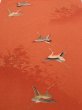 Photo1: 1J02z70  Japanese Kimono Crepe Silk  FABRIC Flying crane Dark orange 41.7x14.4 (1)