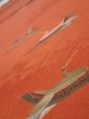 Photo4: 1J03z100  Japanese Kimono Crepe Silk  FABRIC Flying crane Dark orange 65.4x14.4 (4)