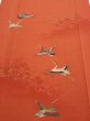 Photo1: 1J04z100  Japanese Kimono Crepe Silk  FABRIC Flying crane Dark orange 65.4x14.4 (1)