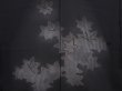 Photo3: 5912T09z330 Vintage Japanese Kimono Silk See through HAORI Maple Black (3)