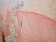 Photo2: 5912T12z1240 Vintage Japanese Kimono Silk FURISODE Flowers Pink (2)