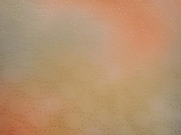 Photo4: 5914T09z510 Vintage Japanese Kimono Silk HAORI  Dark champagne (4)