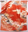 Photo1: 5914T14z1020 Vintage Japanese Kimono Silk FURISODE Chrysanthemum Orange-Red (1)