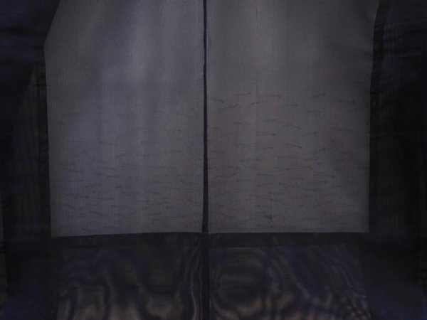 Photo3: 5915T03z190 Vintage Japanese Kimono Silk See through HAORI Pine needle (3)