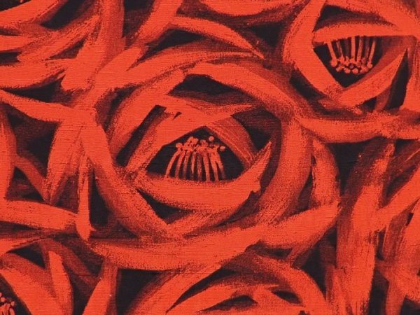 Photo4: 5927T09z440 Vintage Japanese Kimono Silk HAORI Flower Tomato red (4)