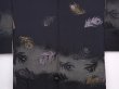 Photo3: 6001T05z540 Vintage Japanese Kimono Silk HAORI Peacock feather Black (3)