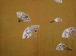 Photo3: 6009T05z520 Vintage Japanese Kimono Silk HAORI Folding fan Yellow ochre (3)