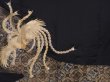 Photo8: 6011T09z1130 Vintage Japanese Kimono Silk TOMESODE Phoenix Black (8)