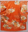 Photo1: 6109T11z1090 Vintage Japanese Kimono Silk FURISODE Peony Orangered (1)