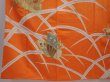 Photo6: 6113T11z920 Vintage Japanese Kimono Silk FURISODE Butterfly Dark orange (6)