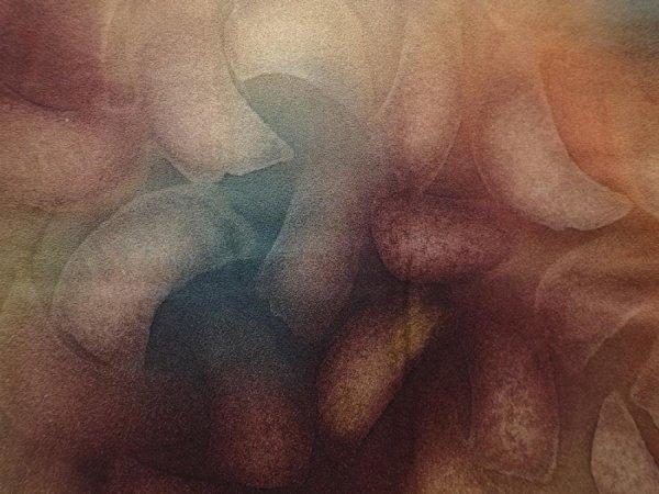 Photo4: 6115T02z500 Vintage Japanese Kimono Silk HAORI  Dark brown (4)