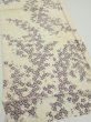 Photo2: 2H01z70  Japanese Kimono Silk  FABRIC Sakura Off-white 41.7x14.6 (2)