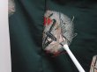 Photo7: 6126T09z730 Vintage Japanese Kimono Silk OMESHI  Dark green (7)