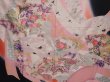 Photo8: 6210T11z1200  Japanese Kimono Silk FURISODE Tabane-noshi Pink (8)