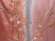 Photo8: 6216T13z1030  Japanese Kimono Silk TSUKESAGE Plum blossom Coral pink (8)