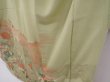 Photo4: 6219T15z800 Vintage Japanese Kimono Silk TSUKESAGE Peacock Light green (4)