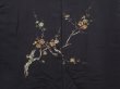 Photo3: 6226T11z550 Vintage Japanese Kimono Silk HAORI Plum blossom Black (3)