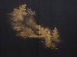 Photo3: 6302T02z580 Vintage Japanese Kimono Silk HAORI Trees Black (3)