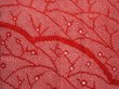Photo3: 6302T08z690 Vintage Japanese Kimono Silk SHIBORI HAORI  Dark red (3)