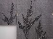 Photo3: 6303T05z450 Vintage Japanese Kimono Silk SHIBORI HAORI Plum branch Black (3)
