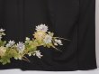 Photo7: 6303T11z1090 Vintage Japanese Kimono Silk TOMESODE Chrysanthemum Black (7)