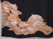 Photo5: 6303T12z1470  Japanese Kimono Silk TOMESODE Princess Black (5)
