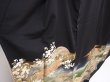 Photo6: 6309T10z1370  Japanese Kimono Silk TOMESODE Jigami Black (6)