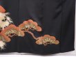 Photo7: 6310T01z1570 Vintage Japanese Kimono Silk TOMESODE Pine Black (7)