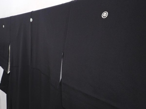 Photo2: 6312T05z1390  Japanese Kimono Silk Artist work TOMESODE Scenery Black (2)