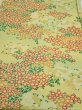 Photo1: 1A02z60  Japanese Kimono Silk  FABRIC Flowers Lime-Yellow 38.6x14.8 (1)