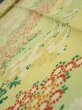 Photo4: 1A09z50  Japanese Kimono Silk  FABRIC Flowers Lime-Yellow 75.2x6.9 (4)