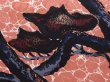 Photo4: 6319T06z410 Vintage Japanese Kimono Silk HAORI Pine branch Dark coral (4)