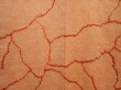 Photo3: 6415T06z560 Vintage Japanese Kimono Silk SHIBORI HAORI  Orange (3)